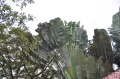 costa rica wildlife, pacific-054